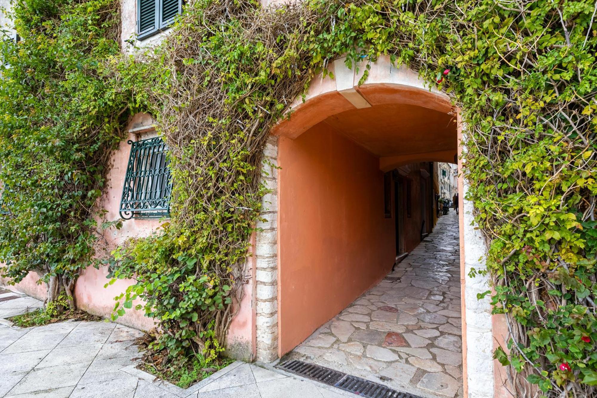 Studios In Corfu コルフ島 部屋 写真